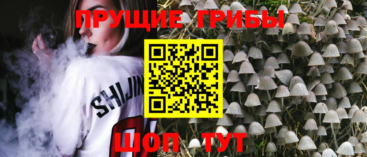 Псилоцибиновые грибы Psilocybe  Галлюциногенные грибы Magic Shrooms  Вход с VPN  Фролово 