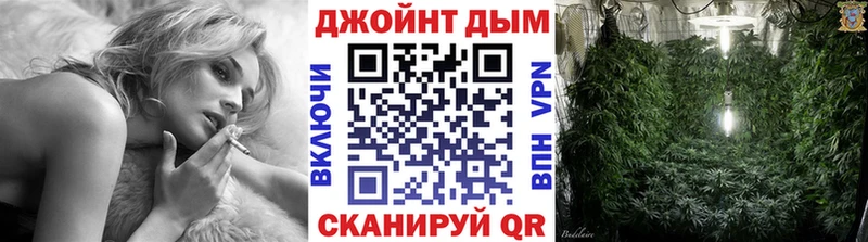 где продают   Фролово  Шишки марихуана индика 